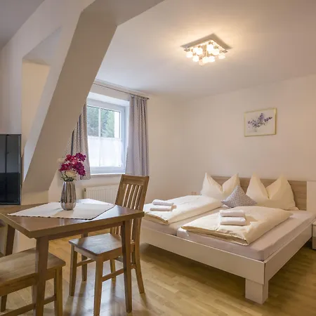 Aparthotel Alpenlodge 5