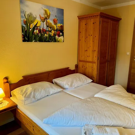 Aparthotel Alpenlodge 5