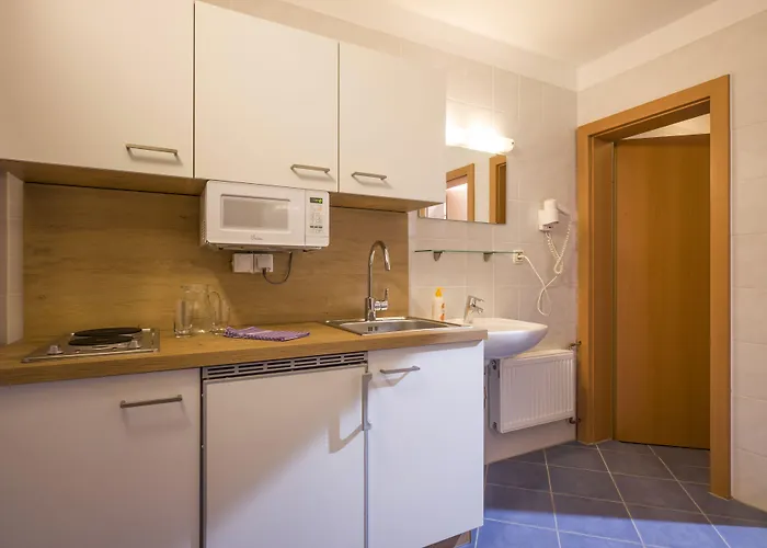 公寓式酒店 Alpenlodge 4*