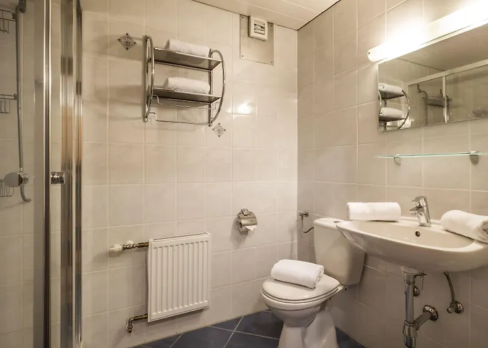 公寓式酒店 Alpenlodge